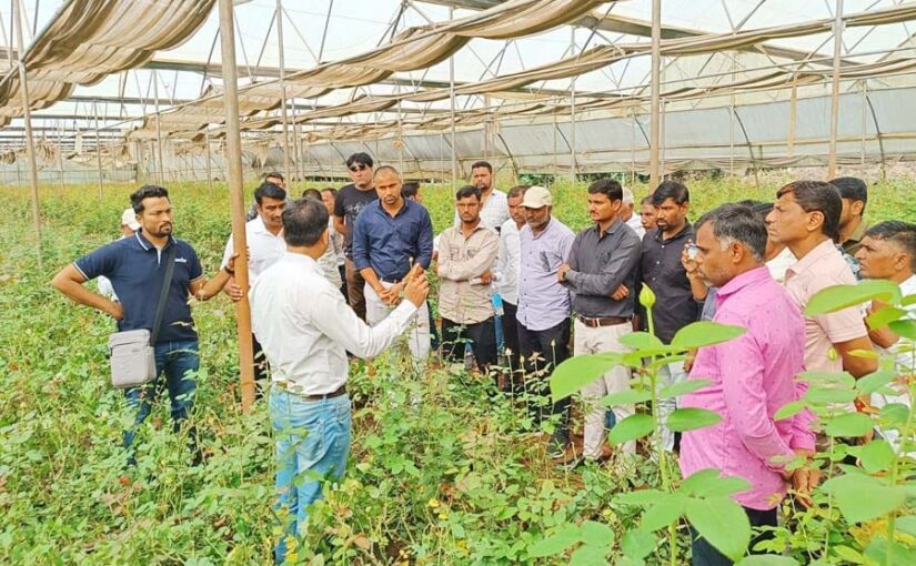 7 किसानों से शुरू हुई संरक्षित खेती, आज 105 किसान