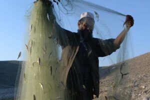 Farmers Credit Card