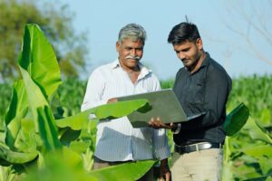 Farming