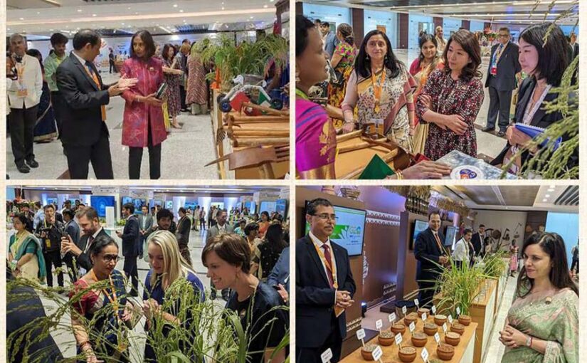 जी-20 राष्ट्राध्यक्षों की जीवनसंगियों ने पूसा परिसर में  प्रदर्शनी का उठाया लुत्फ