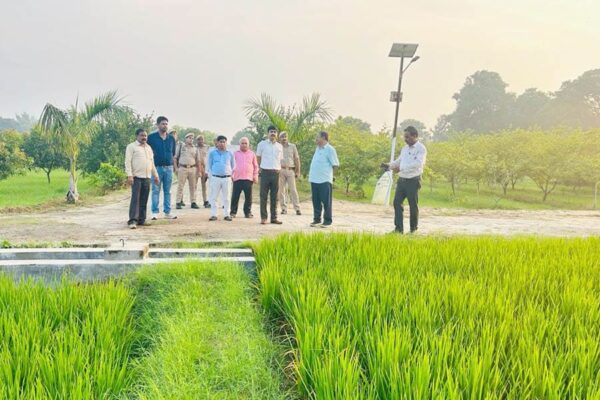 नवीनतम प्रजातियों वाली फलसब्जी नर्सरी की उपलब्धता सुनिश्चित हो