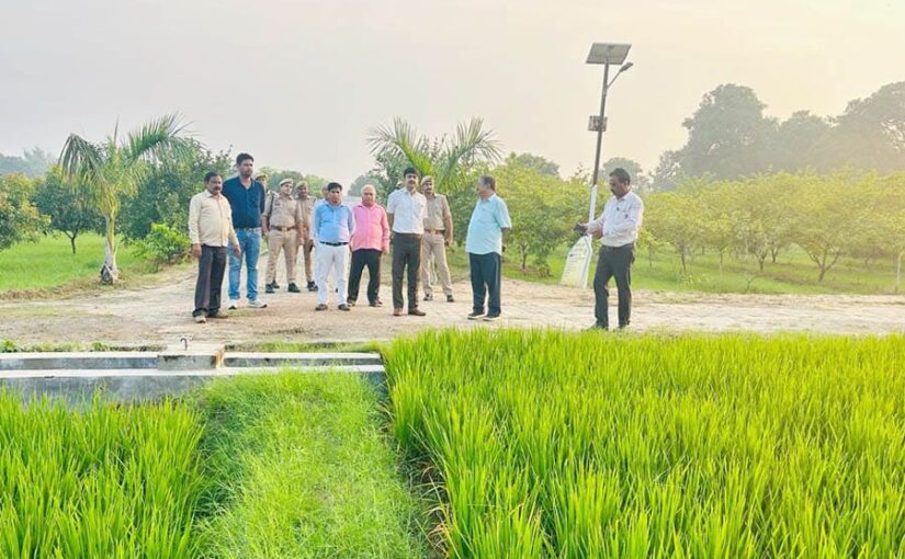 नवीनतम प्रजातियों वाली फलसब्जी नर्सरी की उपलब्धता सुनिश्चित हो