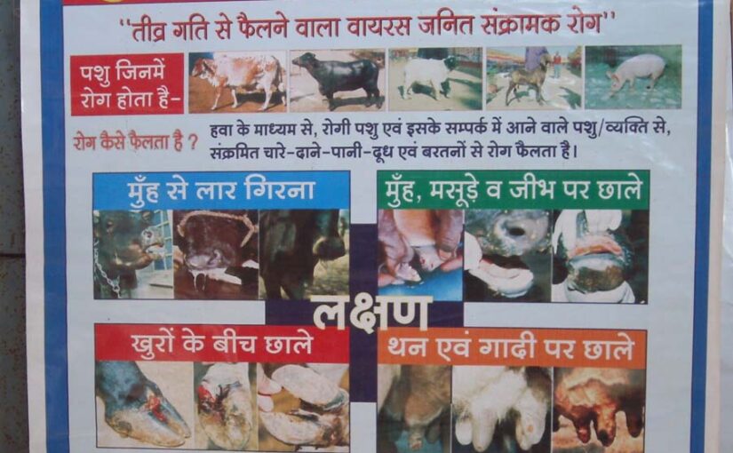 पशुओं की प्राथमिक चिकित्सा और घरेलू उपचार