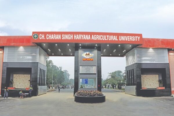 अधिकारियों को मिलेगा एनएसएस स्टेट अवार्ड