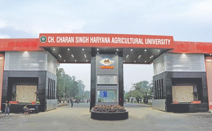 अधिकारियों को मिलेगा एनएसएस स्टेट अवार्ड