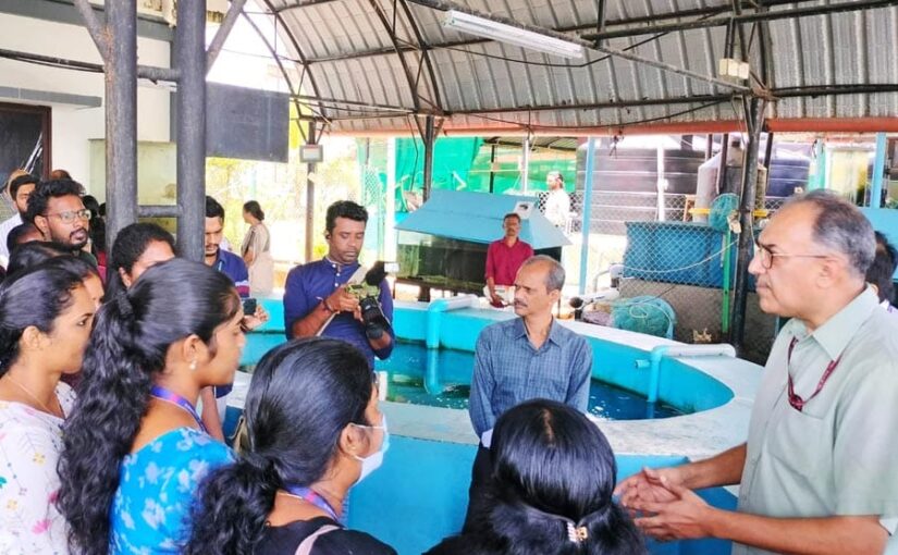 रोजगार के रूप में समुद्री सजावटी मछली उत्पादन