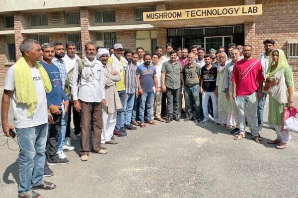 मशरूम उत्पादन तकनीक पर प्रशिक्षण