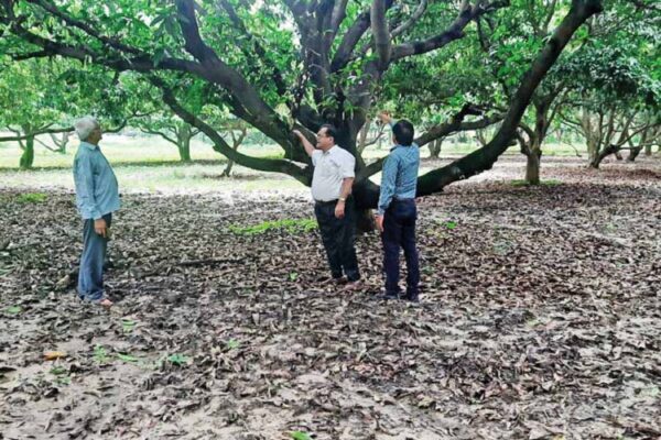 किसानों को दिया जाएगा माली प्रशिक्षण