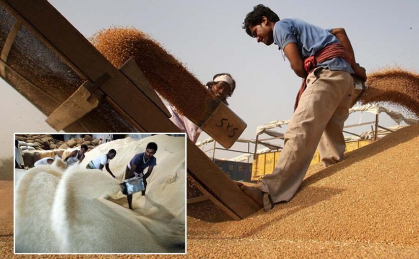 गेहूंचावल की साप्ताहिक ई-नीलामी