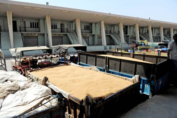 गेहूं की भंडारण सीमा 3000 मीट्रिक टन से 2000 मीट्रिक टन