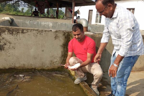 हैचरी स्थापित : स्वरोजगार का अवसर