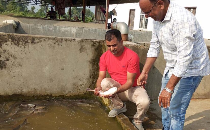 हैचरी स्थापित : स्वरोजगार का अवसर