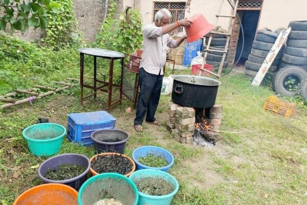 जैविक खेती में सिरमौर बनें किसान