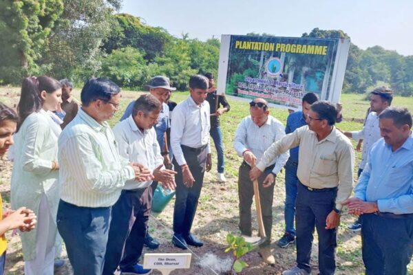 काजू कलम पौधों का रोपण कार्यक्रम