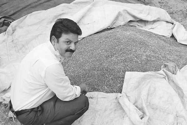 काले गेहूं और चने की खेती