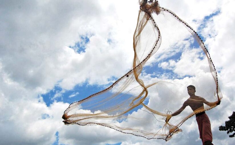 मछलीपालन : खुद का बिजनैस