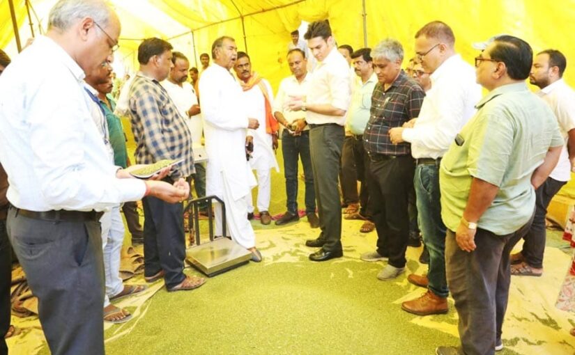 समर्थन मूल्य पर हुई मूंग की बंपर खरीद