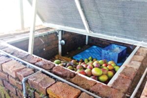 Fruit Vegetable Storage