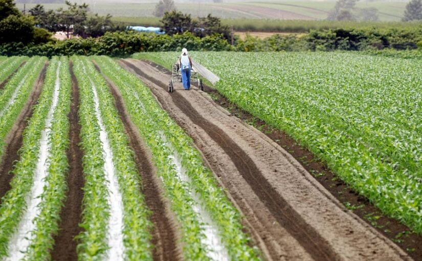 देश को नई हरित क्रांति की दरकार