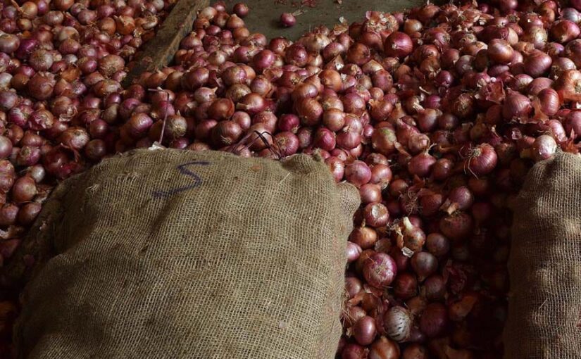 सरकार खरीदेगी बफर स्टाक के लिए 2 लाख टन प्याज