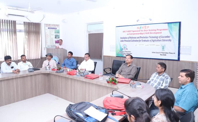 उत्तम रोपण सामग्री, अधिक उत्पादन की कुंजी