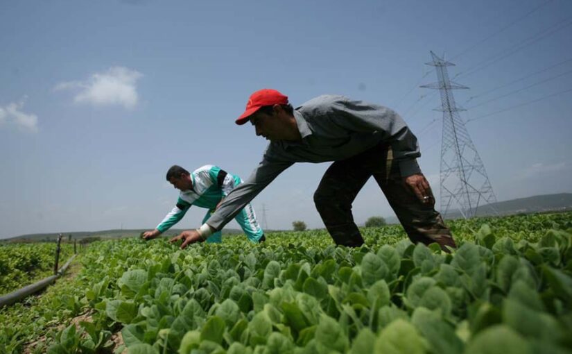 नवाचारों का लाभ उठाने के लिए स्क्रीनिंग कमेटी