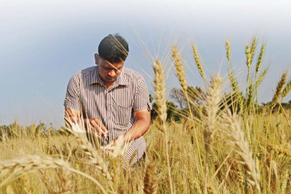 सुरक्षित बीज भंडारण कब और कैसे