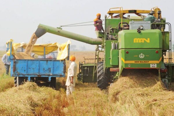 धान की कटाई से ले कर भंडारण तक