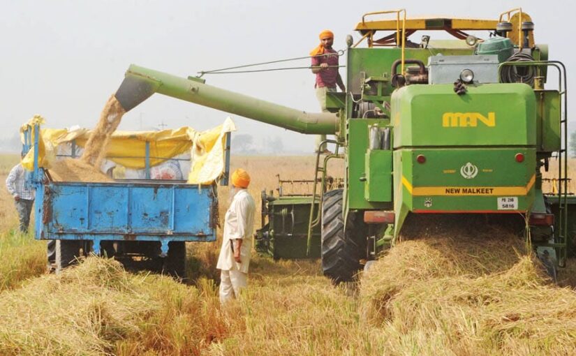 धान की कटाई से ले कर भंडारण तक