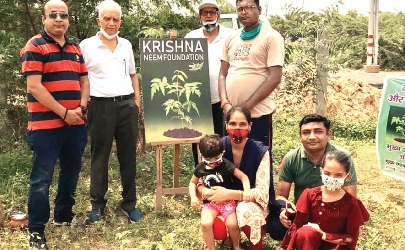 नीम से किसानों की आमदनी बढ़ाने और पर्यावरण बचाने की कोशिश