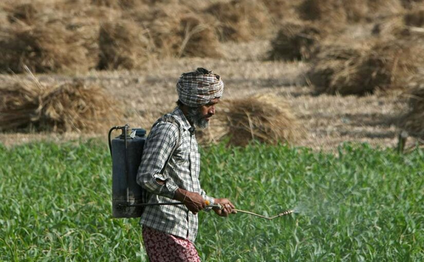 रसायनों का संतुलित प्रयोग कृषि में लाभकारी