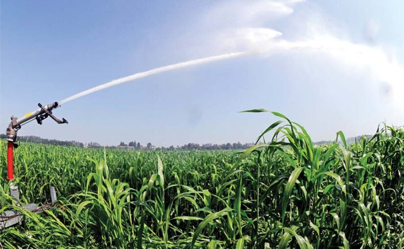 नेटाफिम : सिंचाई की  उन्नत तकनीक