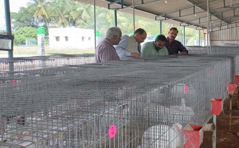 कमाल का है रैबिट हर्बल हेयर औयल