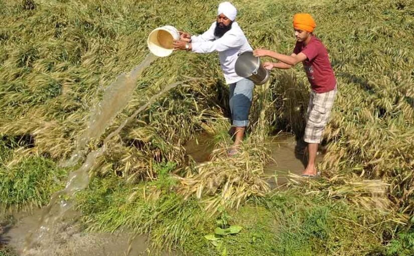 जाड़े में अधिक वर्षा से खेती को नुकसान या फायदा