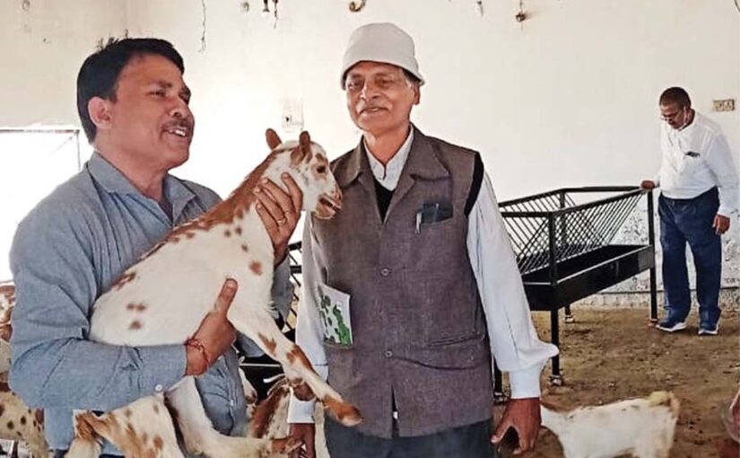 बकरियों में पीपीआर बीमारी के लक्षण व बचाव