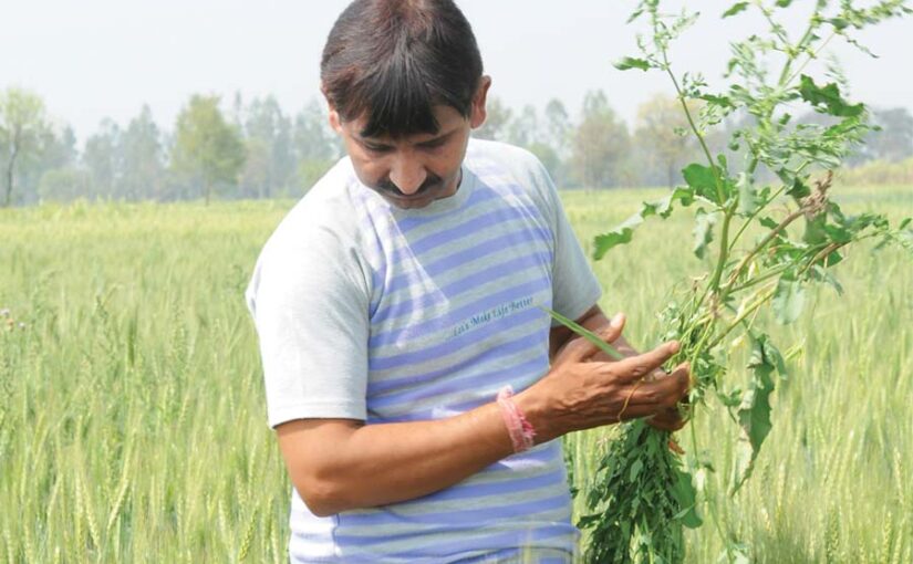 दिसंबर महीने के जरूरी काम