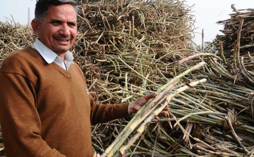 हरियाणा में सब से ज्यादा गन्ने का दाम
