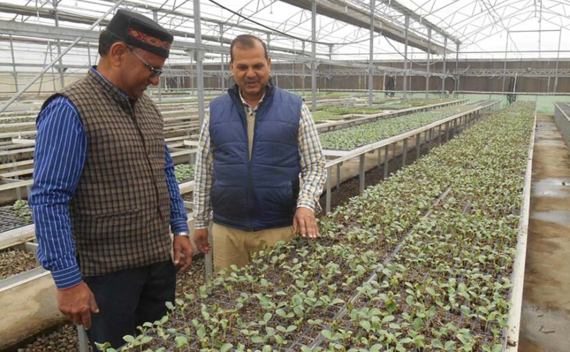 उत्तरप्रदेश में हाईटैक नर्सरी बढ़ाएगी किसानों की आमदनी