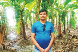 Village Farming