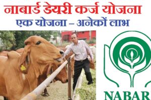 Dairy Loan Scheme