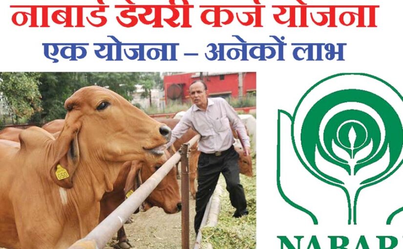 पशुपालन : सरकारी योजनाओं का लें फायदा