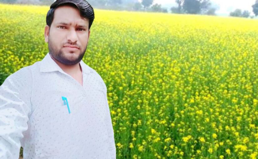 सरसों की फसल में माहू कीट का प्रकोप