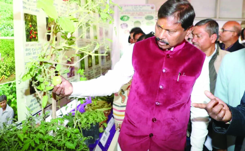 कृषि के विकास से तरक्की