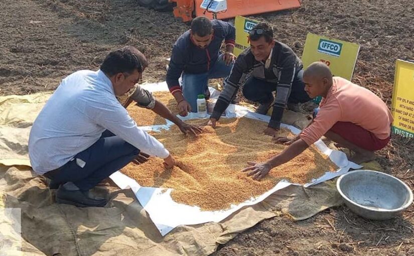 कृषि लाभ के लिए फसल व किस्म चयन जरूरी