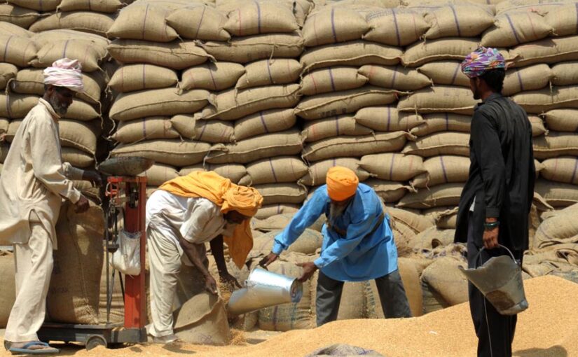 गेहूं स्टाक सीमा में संशोधन,  जमाखोरों पर जुर्माना