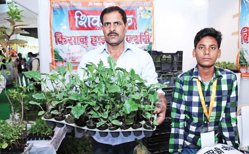 सीड ट्रे में तैयार करे पौधे