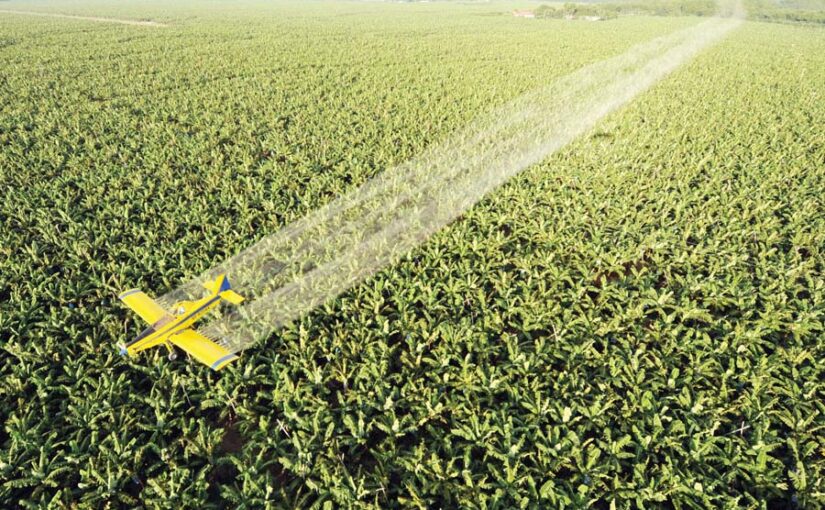 केले में कीट व रोगों की रोकथाम