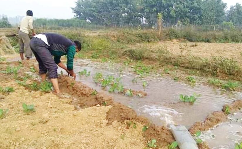 सर्दियों में खेती का रखें ख्याल