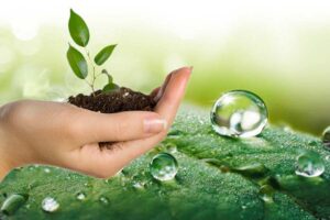 Soil