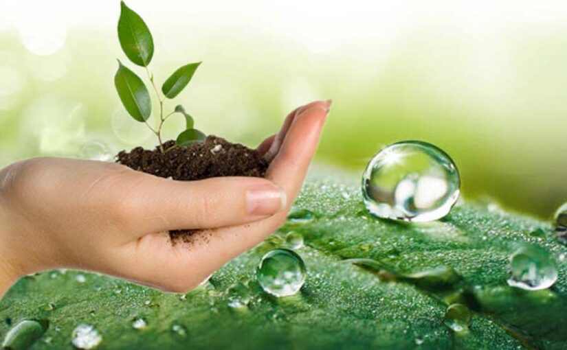 मृदा दिवस पर मिट्टी और पानी पर फोकस